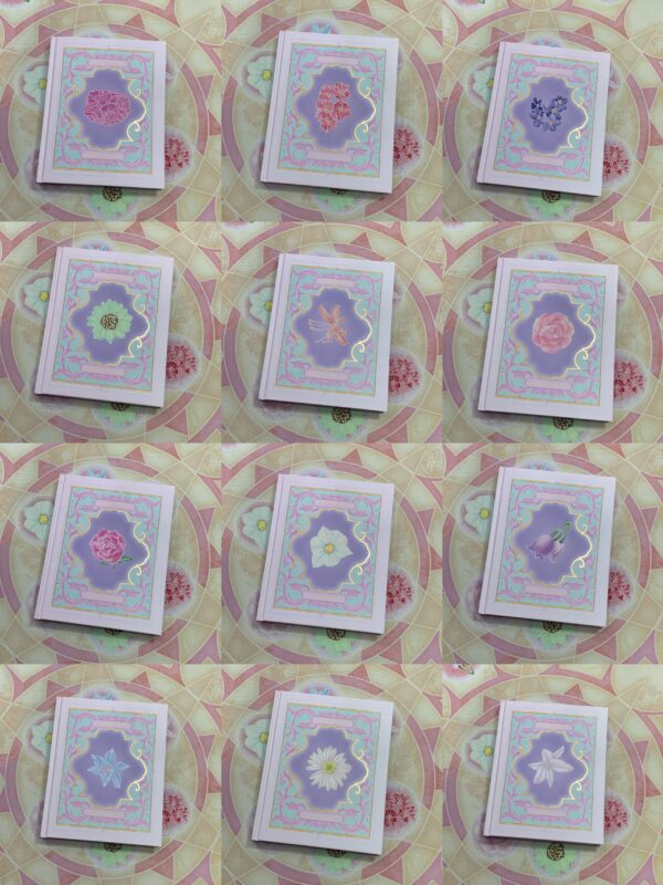 12 Dancing Princesses notebook